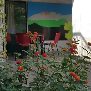  Appartamento La Cantina Sull'etna Italia